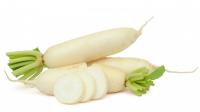 Редька Дайкон