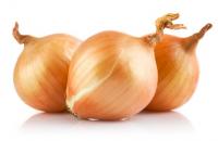 Лук Репчатый УРОЖАЙ 2025