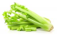 Сельдерей Стебель